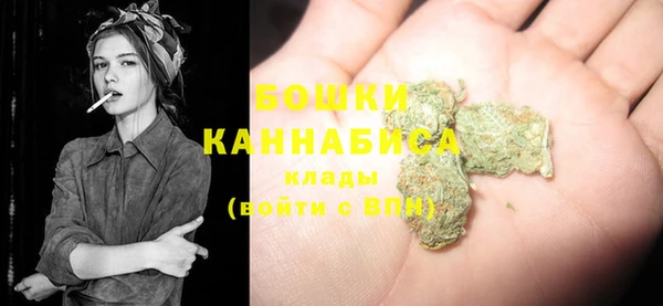 гидра Каменск-Шахтинский