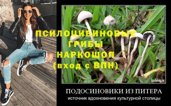 гидра Каменск-Шахтинский